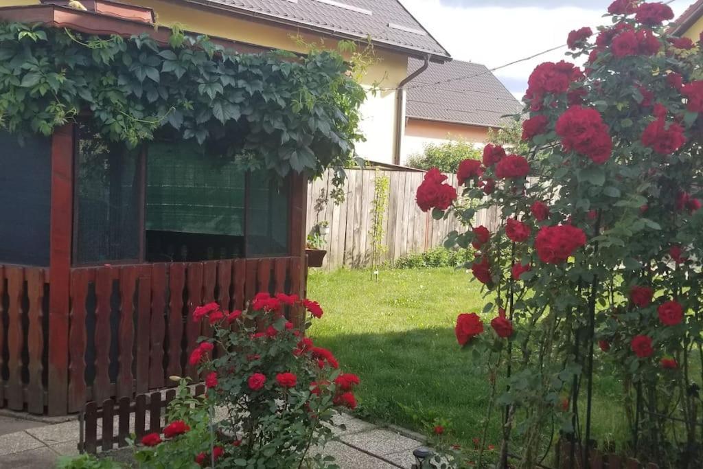 Casa Merilor I & II Brașov Exterior foto